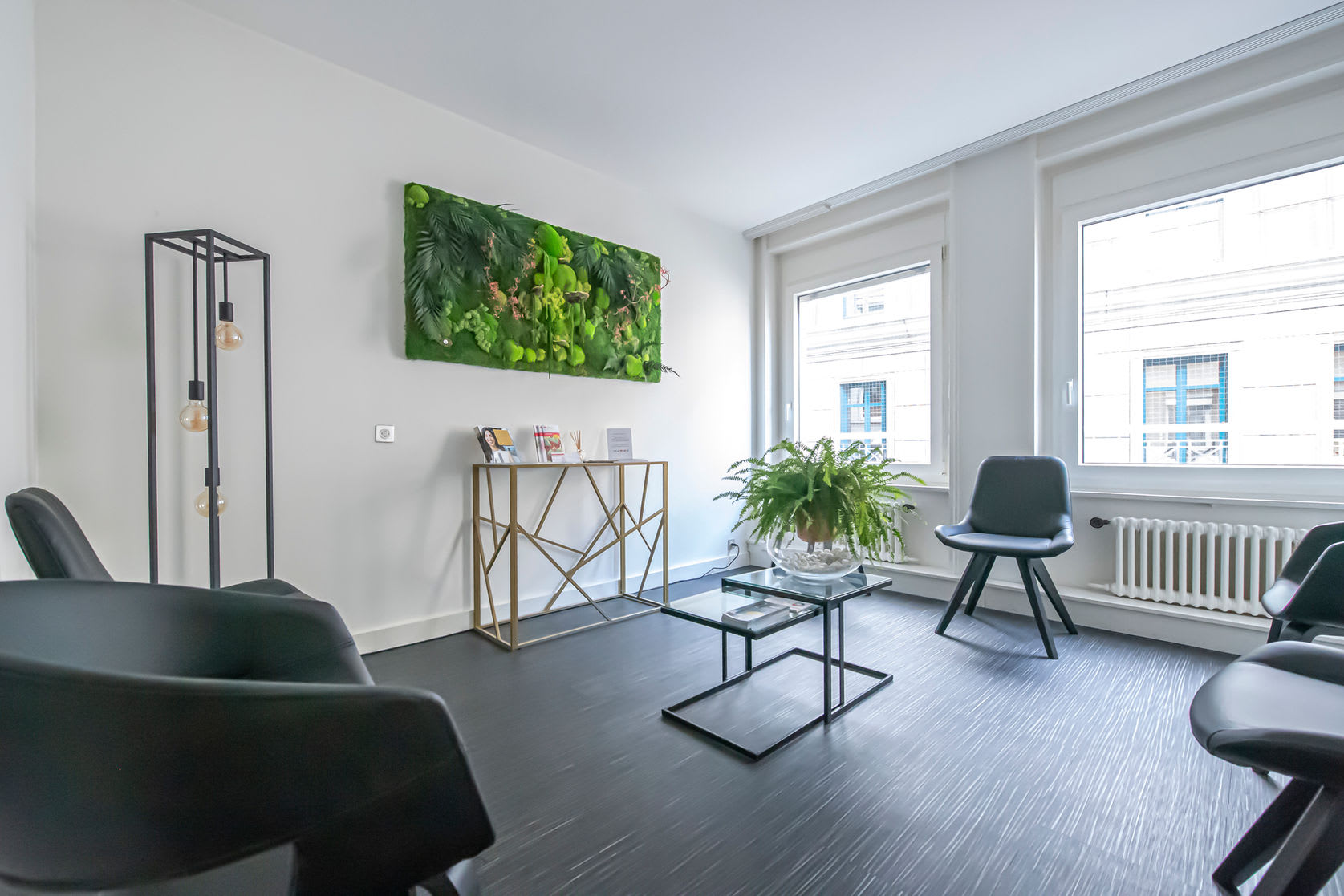 Dr Viollier Mihaiela gallery image 3