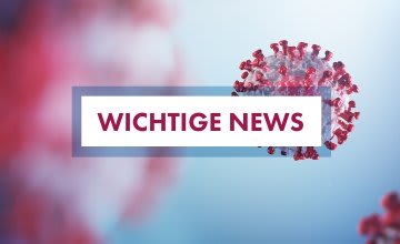 veyu gallery image 8