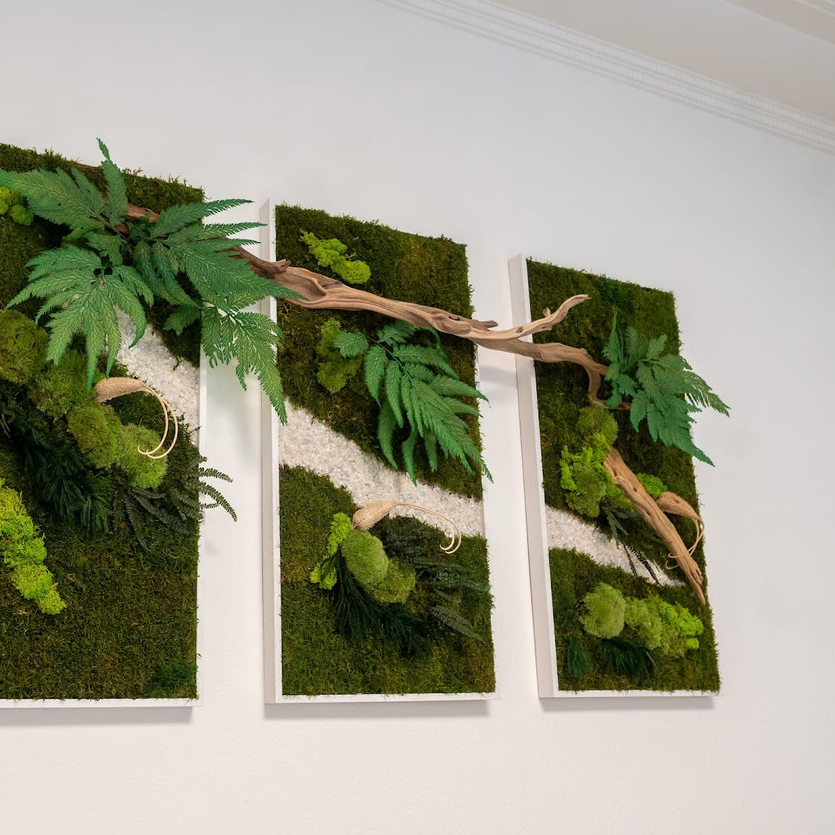 Aesthetic Medicine by Dr. Nasser Madi gallery image 4