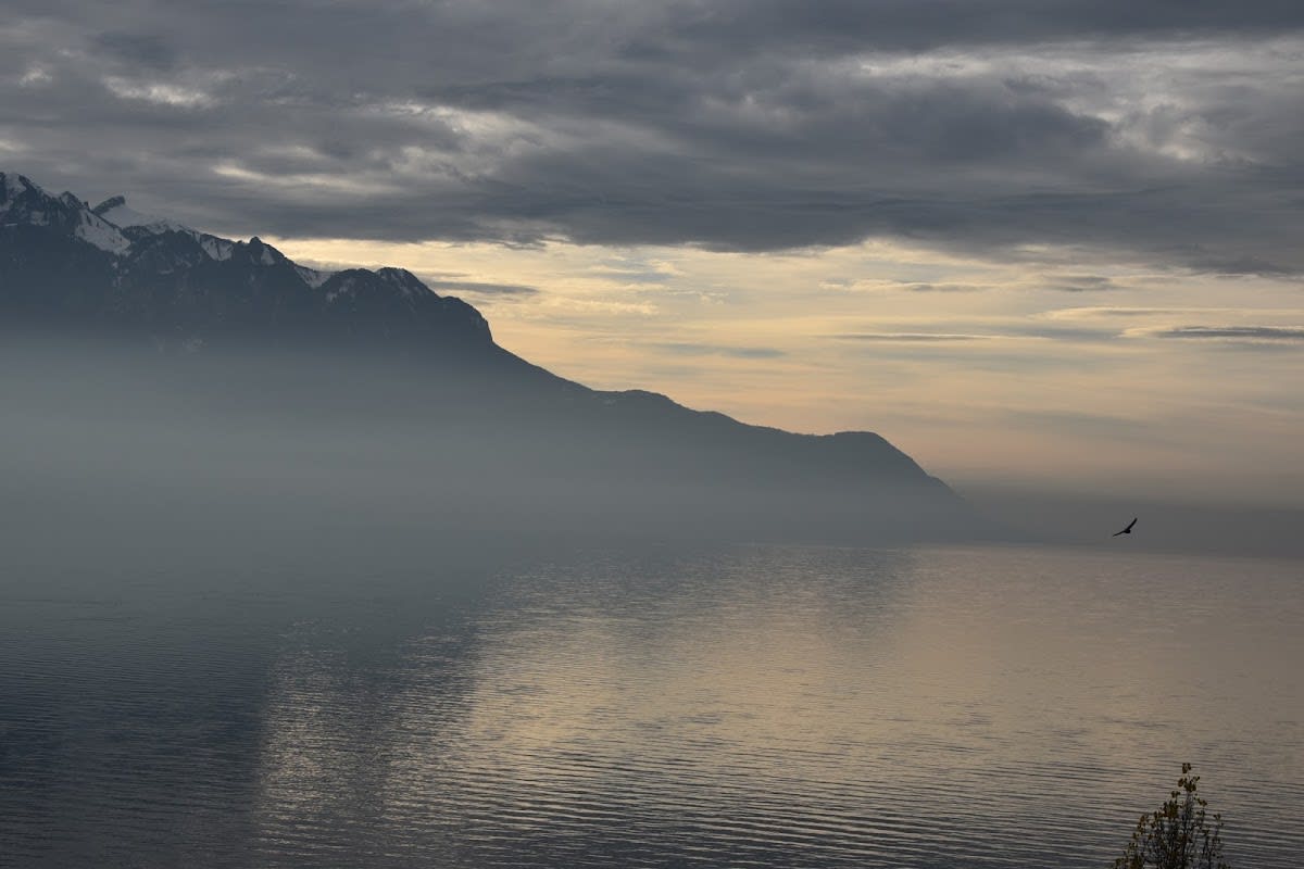 Cabinet Dentaire Pégorier gallery image 1