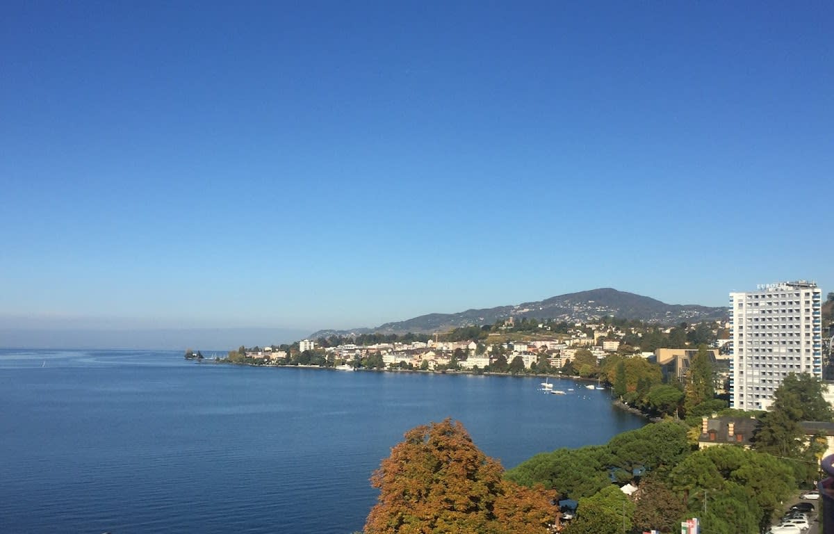 Cabinet Dentaire Pégorier gallery image 8