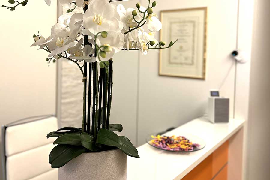 Swiss Pro Age Sagl gallery image 6