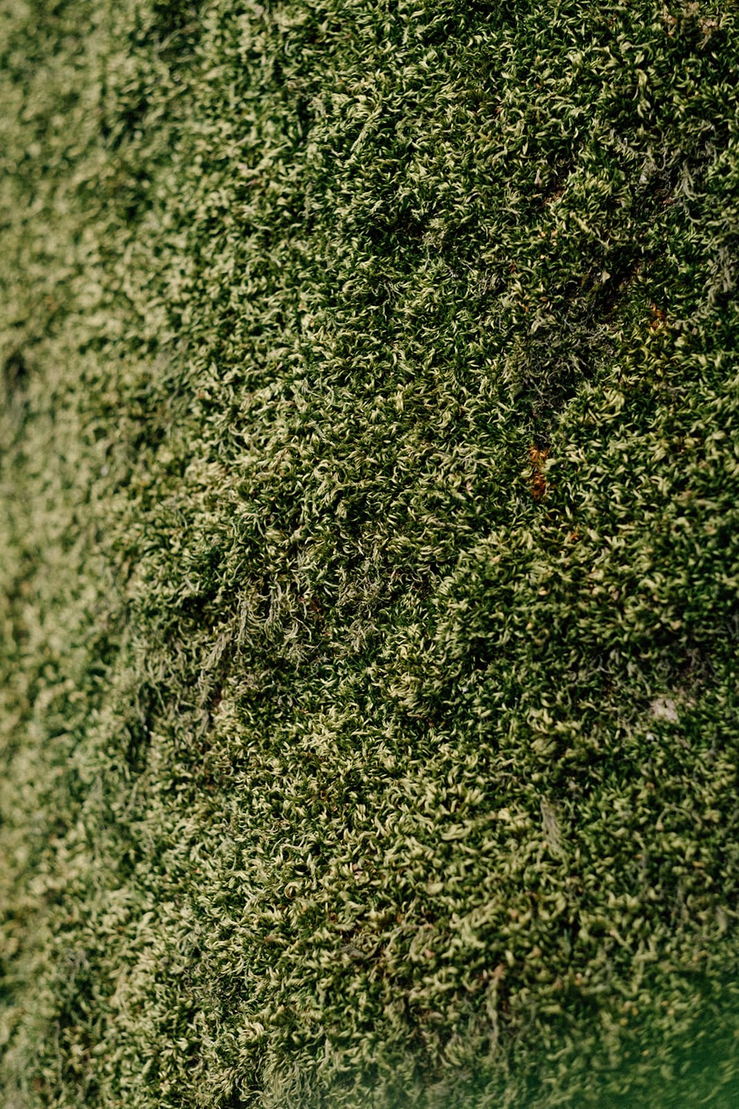 Wettstein Aesthetik und Chirurgie - PD Dr. med. Reto Wettstein gallery image 3