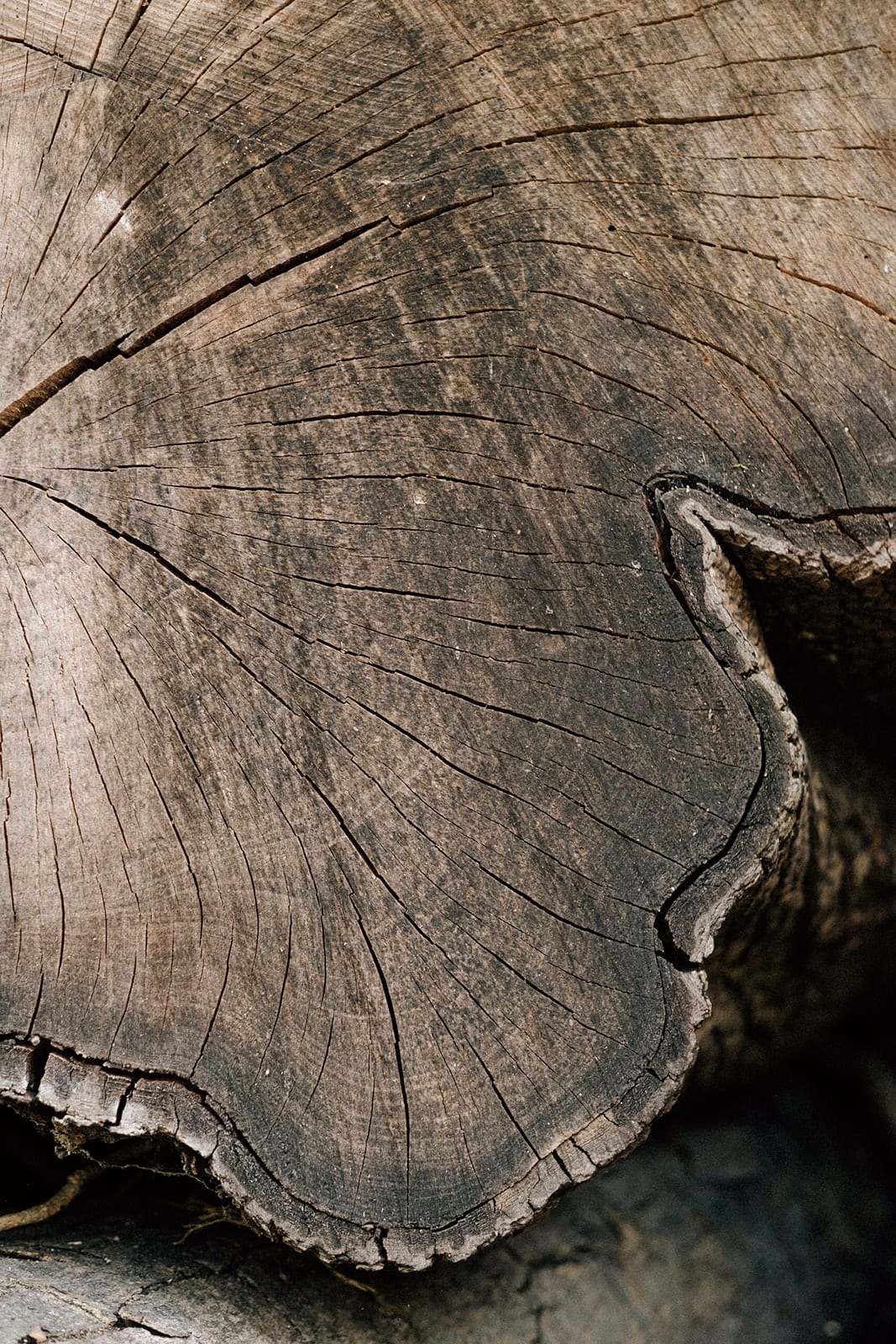 Wettstein Aesthetik und Chirurgie - PD Dr. med. Reto Wettstein gallery image 4