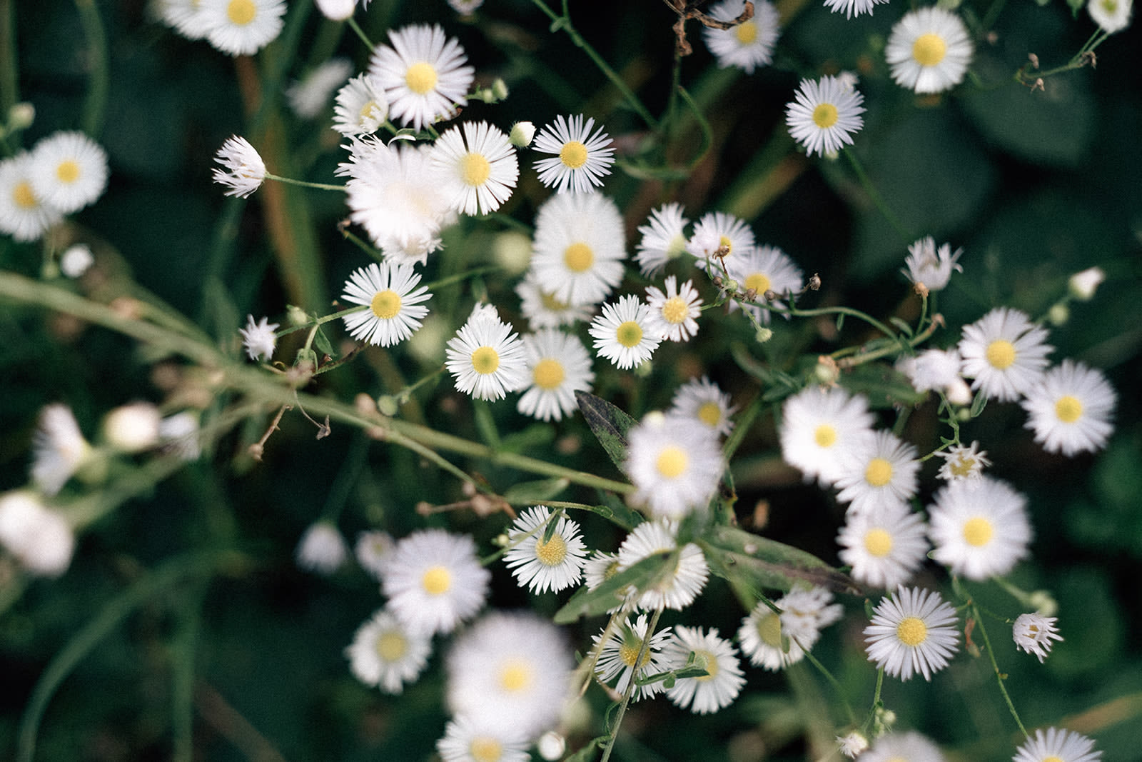 Wettstein Aesthetik und Chirurgie - PD Dr. med. Reto Wettstein gallery image 5