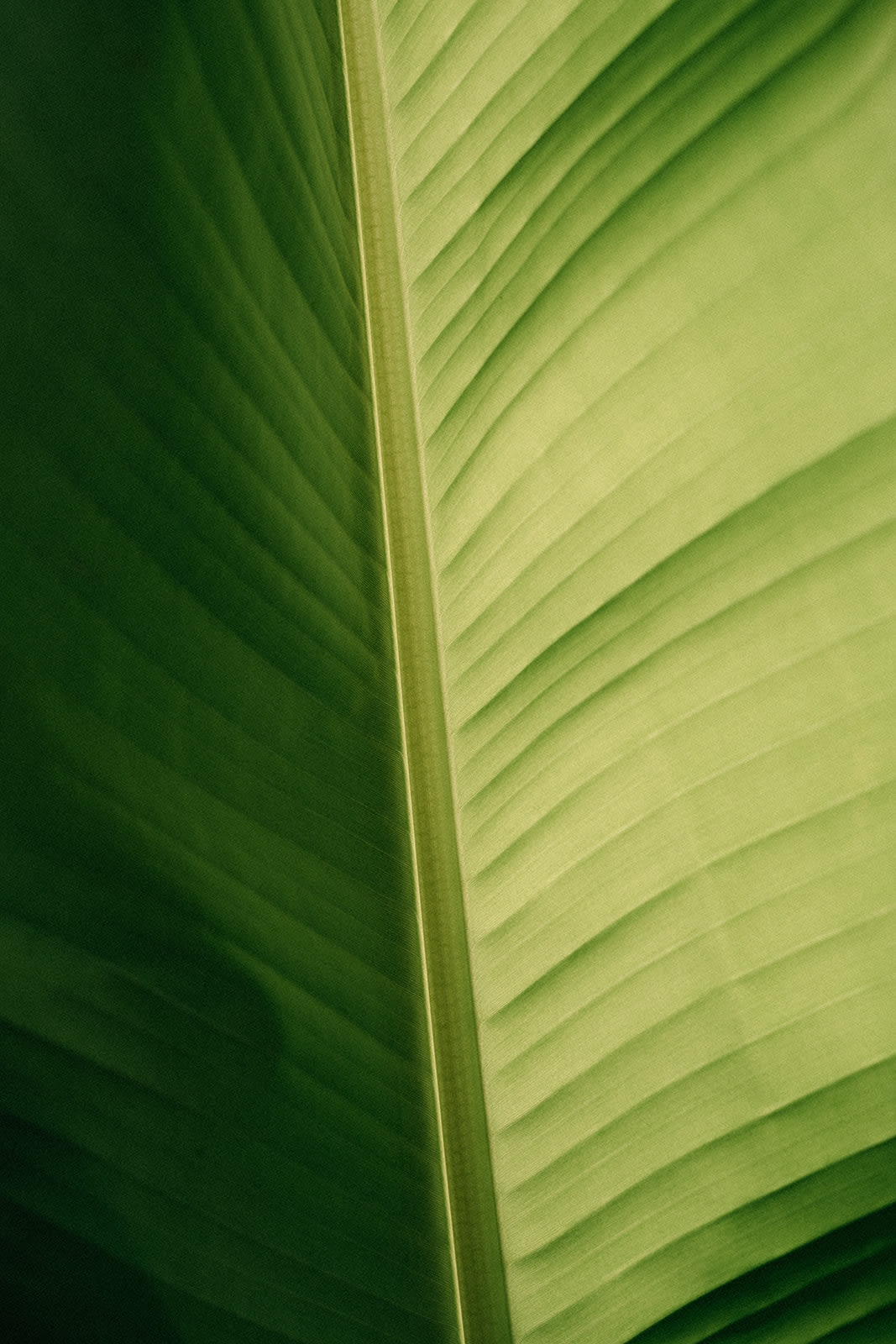 Wettstein Aesthetik und Chirurgie - PD Dr. med. Reto Wettstein gallery image 7