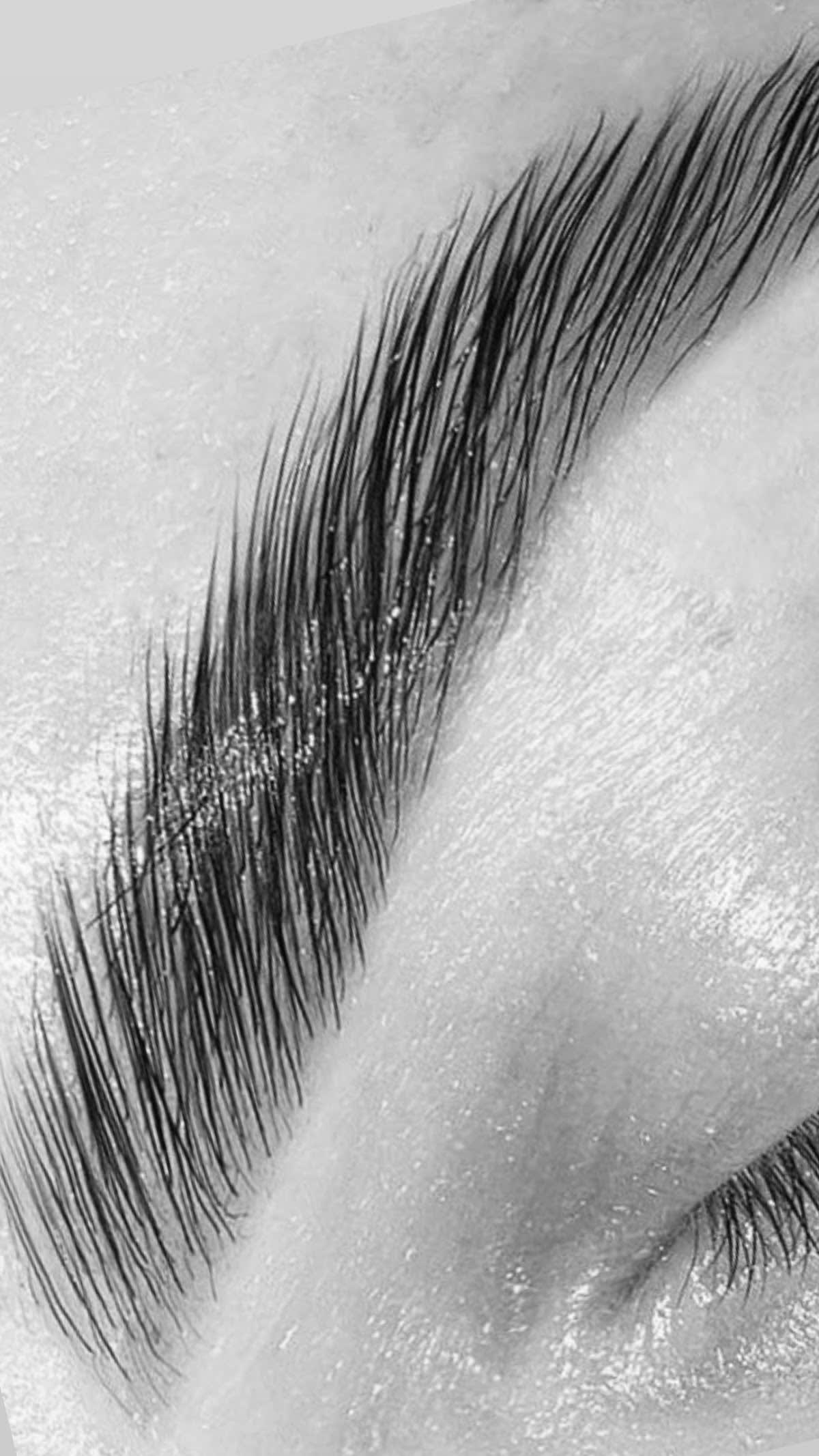 Beauty Boom gallery image 2