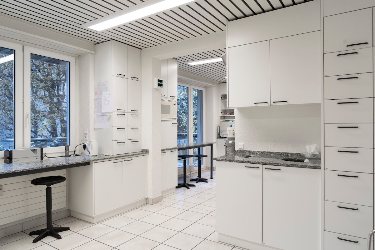 Dentist Smile Clinix Basel Spalen gallery image 9