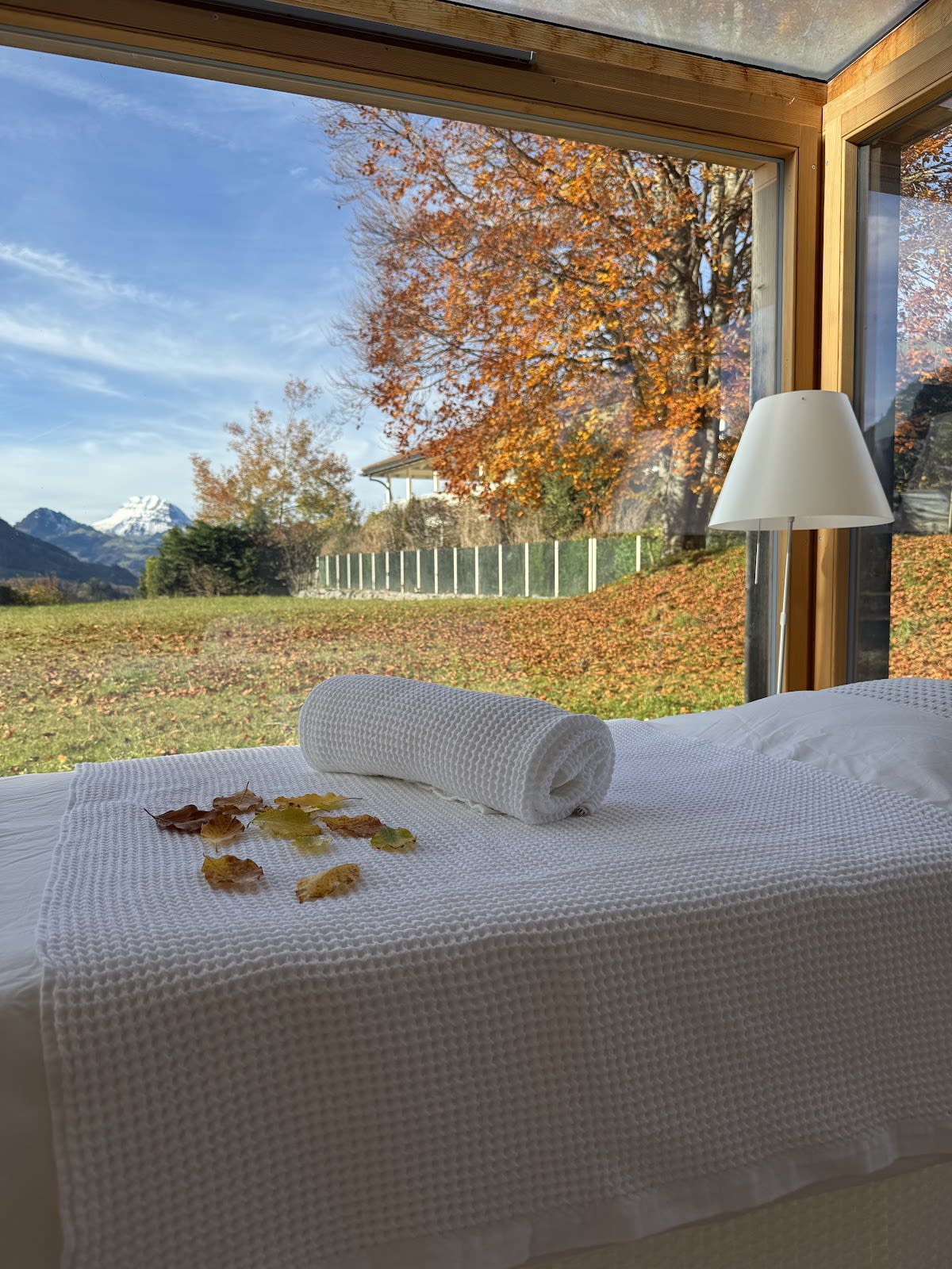 Osée Beauty gallery image 7