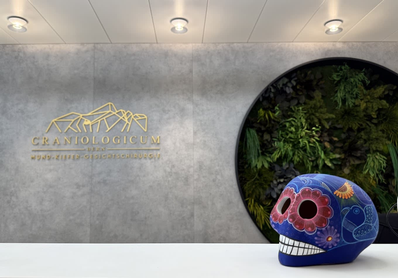 CRANIOLOGICUM gallery image 3