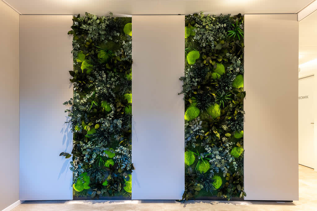 CRANIOLOGICUM gallery image 7