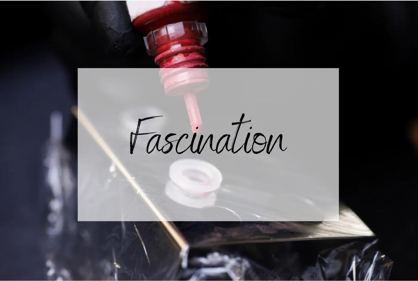 Love - Your Beauty gallery image 4