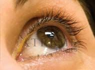 Kosmetikerin, Waxing, Haarentfernung mit Wax, Haare Lasern, Laser, Wimpernverlängerung, Beauty, Kosmetik, Buser Svetlana gallery image 1