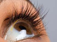 Kosmetikerin, Waxing, Haarentfernung mit Wax, Haare Lasern, Laser, Wimpernverlängerung, Beauty, Kosmetik, Buser Svetlana gallery image 7