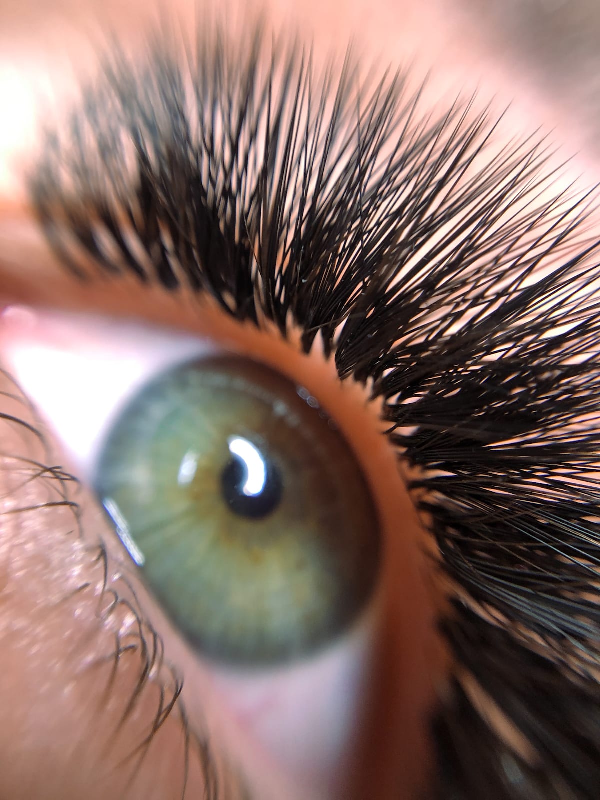 Beauty by Iva GmbH gallery image 9