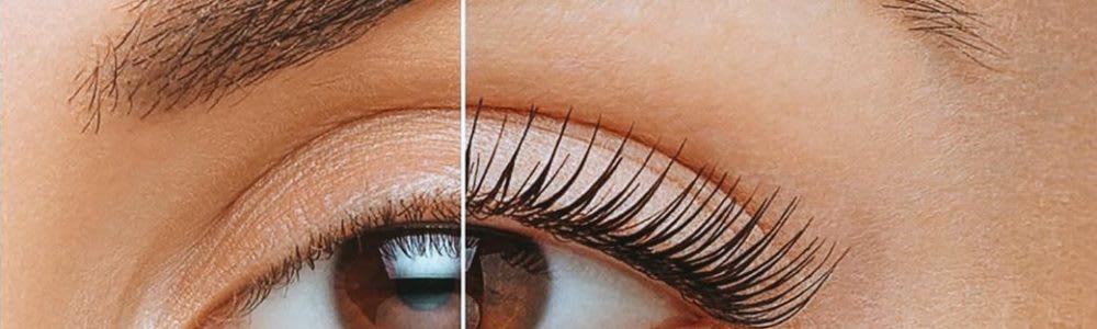 Lumière essentielle gallery image 1