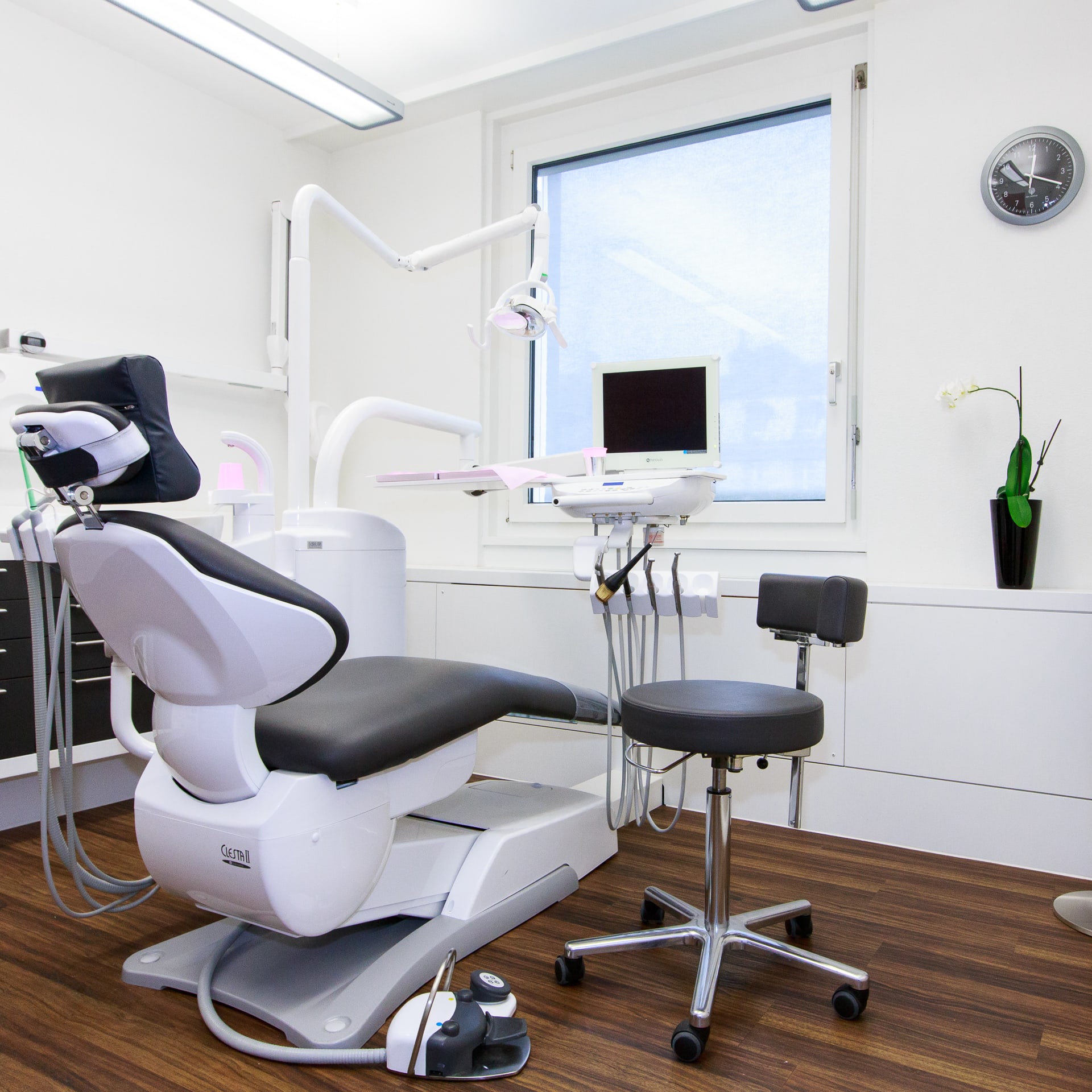 Dr. med. dent. Carmen Anding gallery image 3