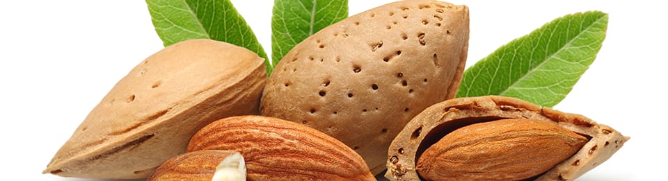 BeautySkin-Bern gallery image 2