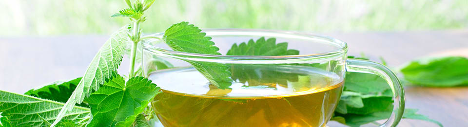 BeautySkin-Bern gallery image 6