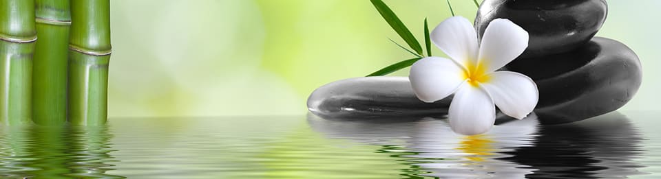 BeautySkin-Bern gallery image 7