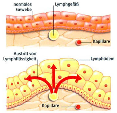 BeautySkin-Bern gallery image 9