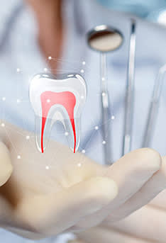 TEAM 15 - PRAXIS FÜR ZAHNMEDIZIN DR. HERMANN & PARTNER gallery image 7