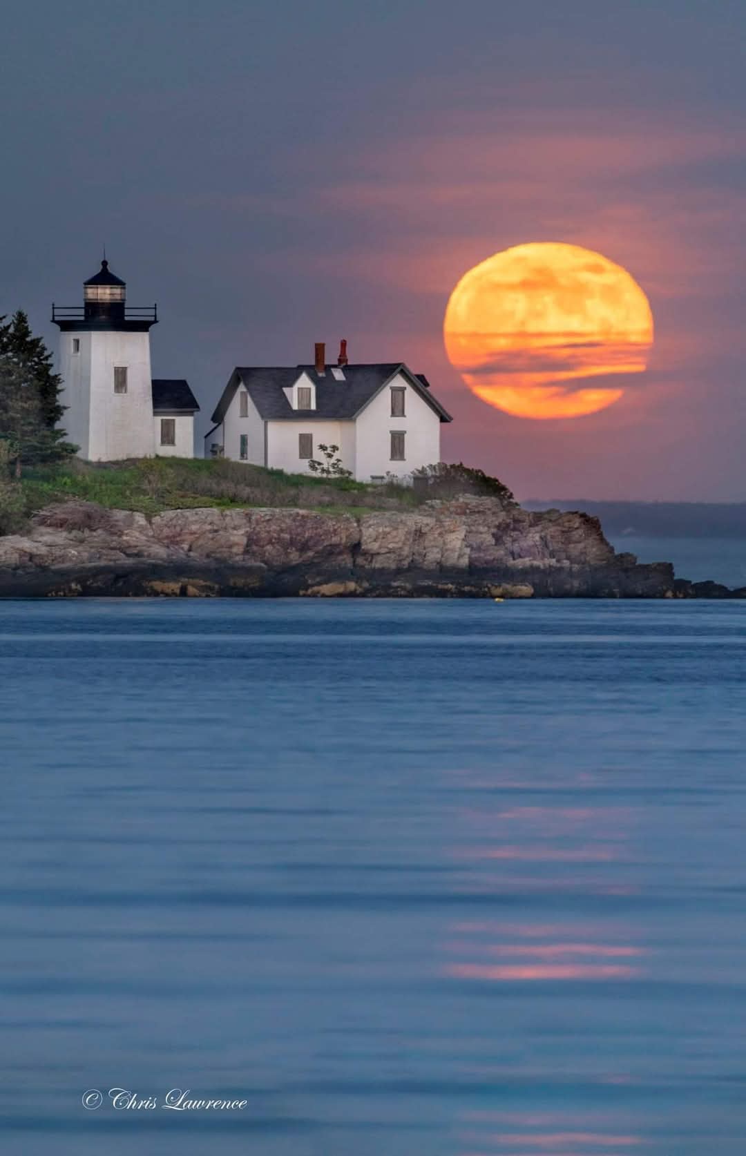 dr. med. dent. Airoldi Giulio gallery image 2