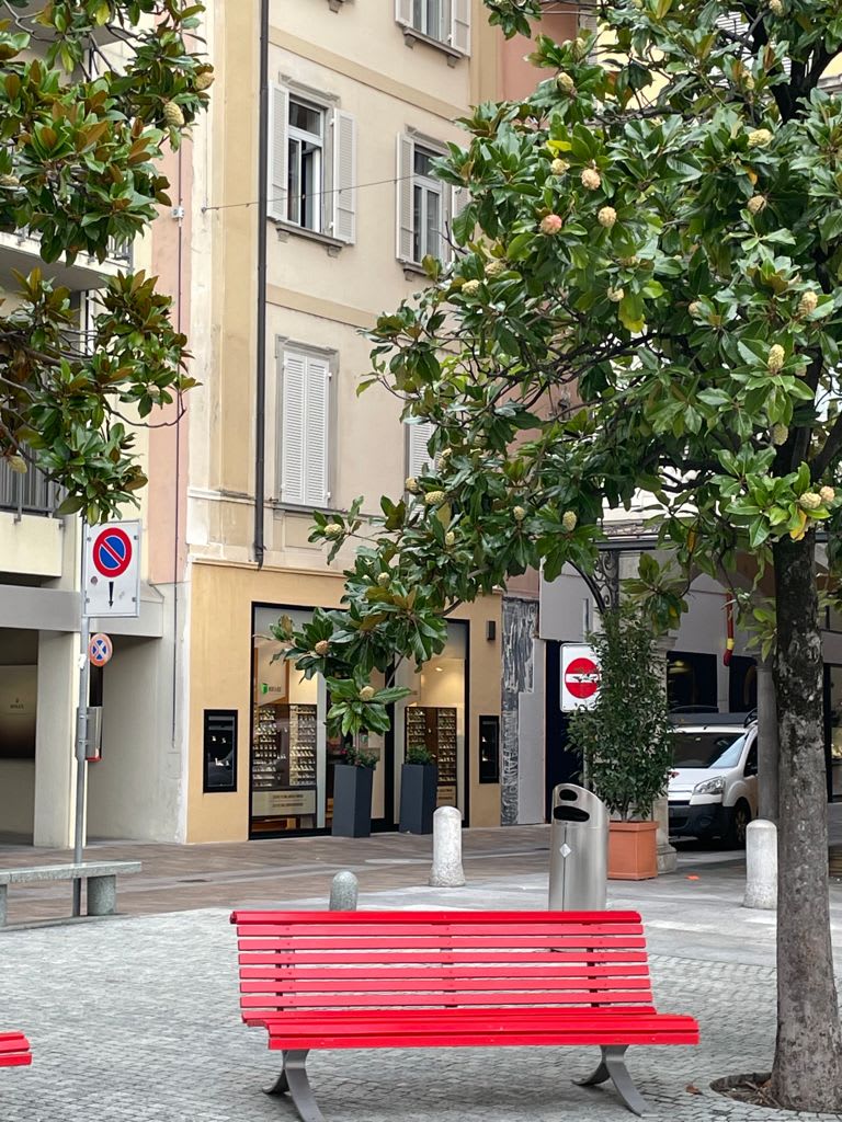 Centro Igea Sagl gallery image 10