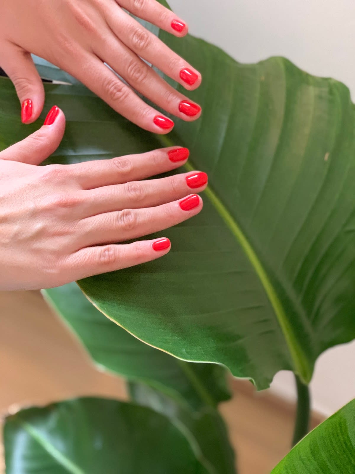 Aesthetic gallery image 2