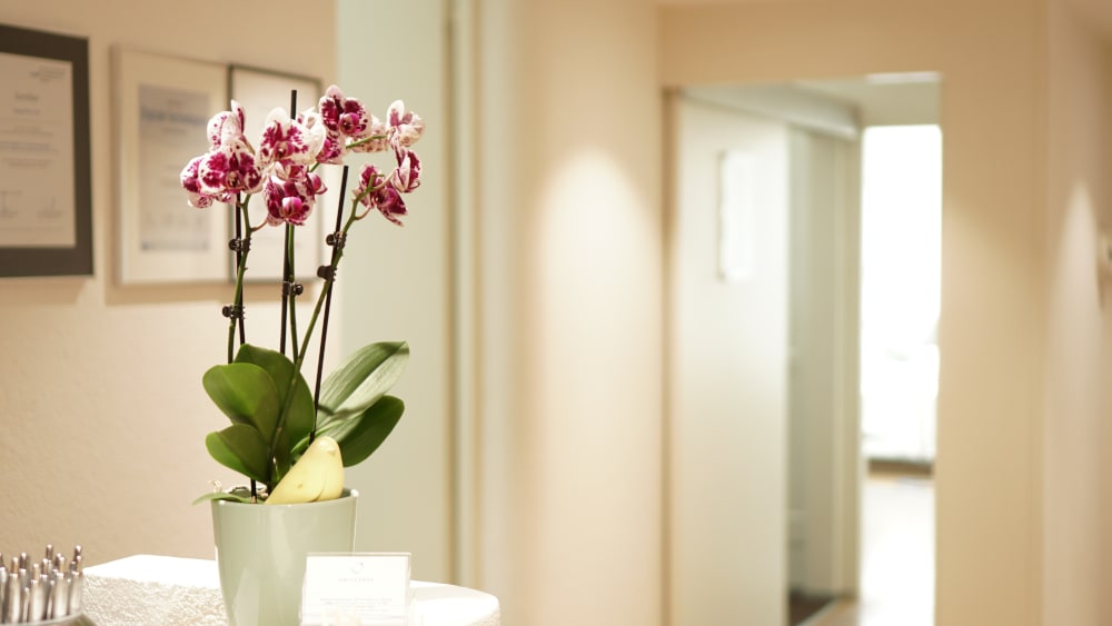 Smilezone Zahnarztpraxis | Dr.Gold und Yoo | Dentist Zug | Zuger Zahnärzte gallery image 6