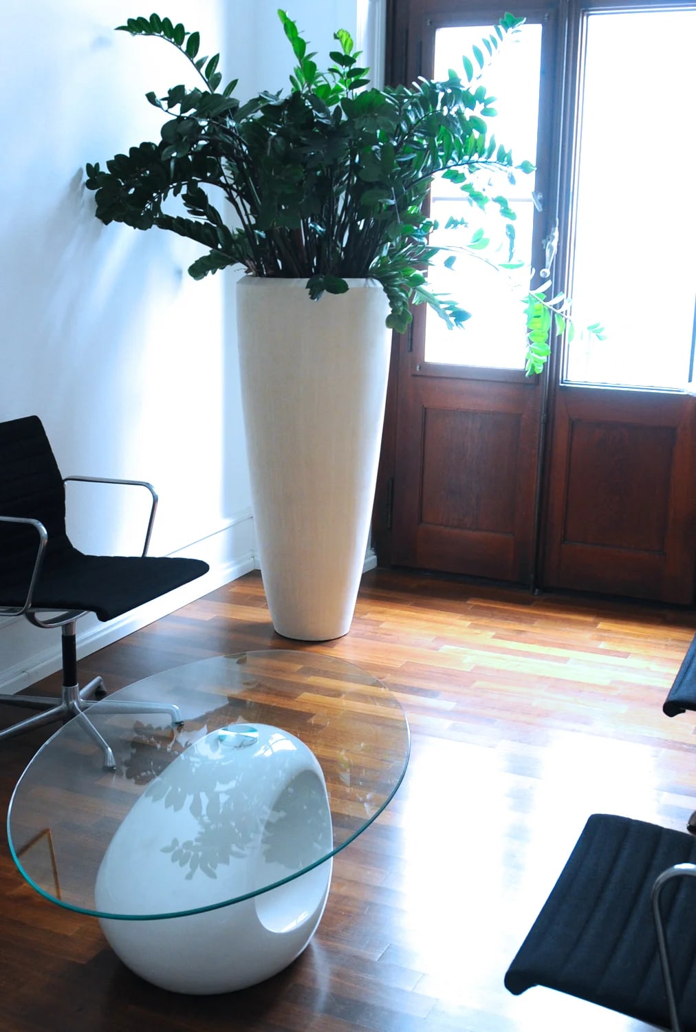 Mr. Dr.med.dent. Luca Rodoni gallery image 10