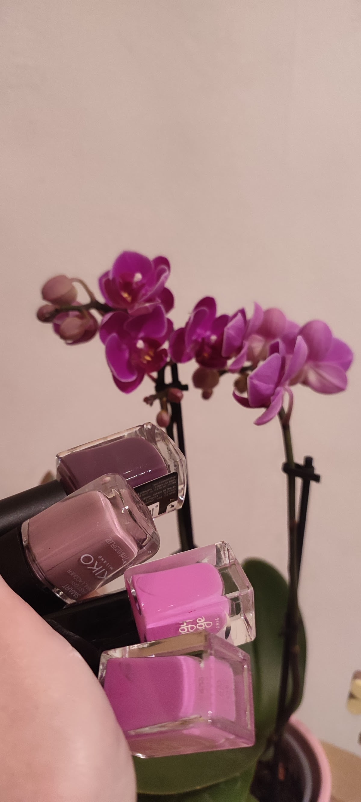 Bulle du bien-être gallery image 9