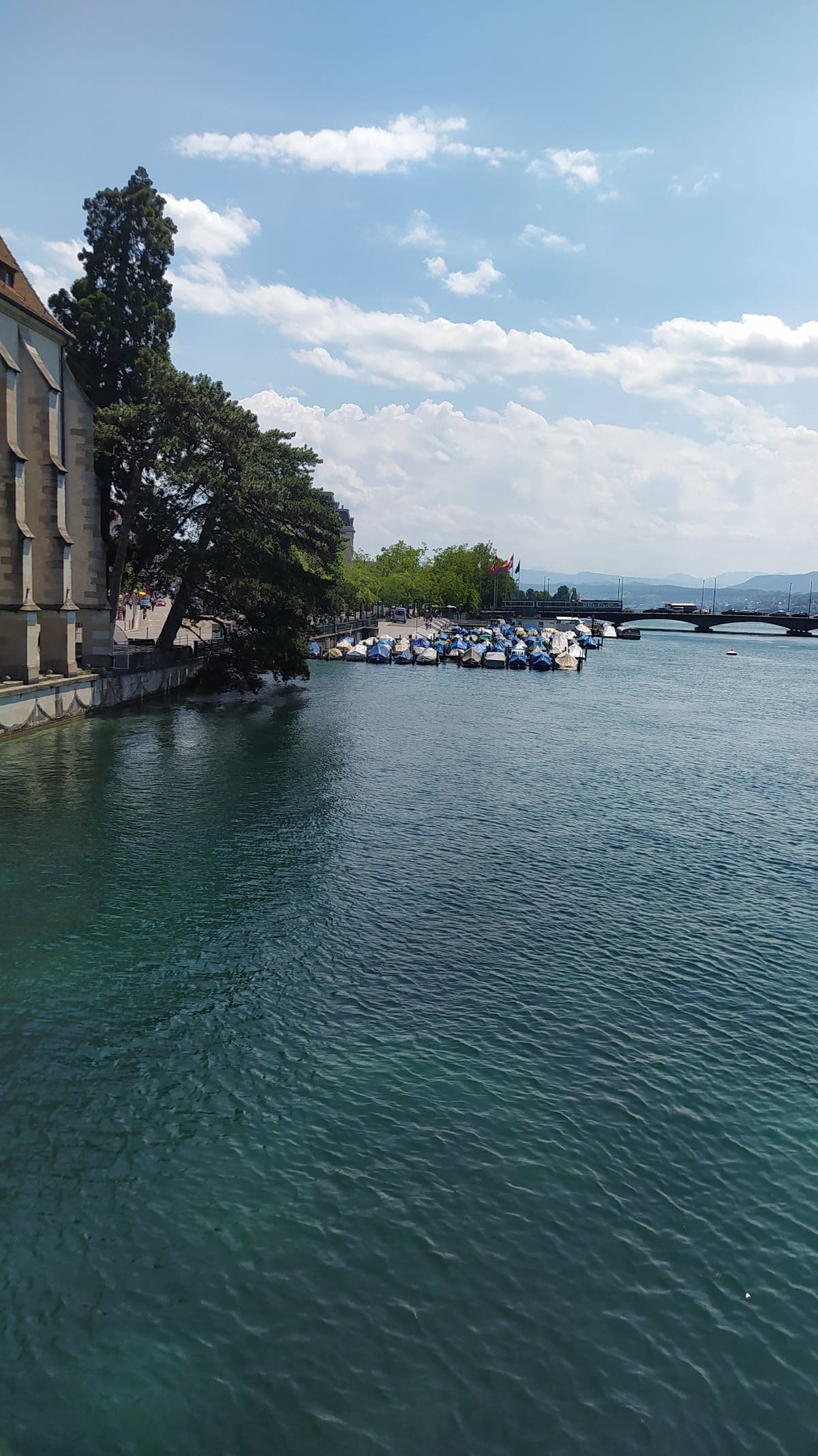 Dr. Med Nunzioluca Chianese gallery image 3