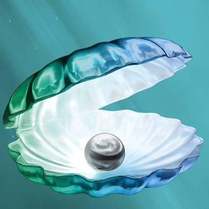 STUDIOPEARL gallery image 2