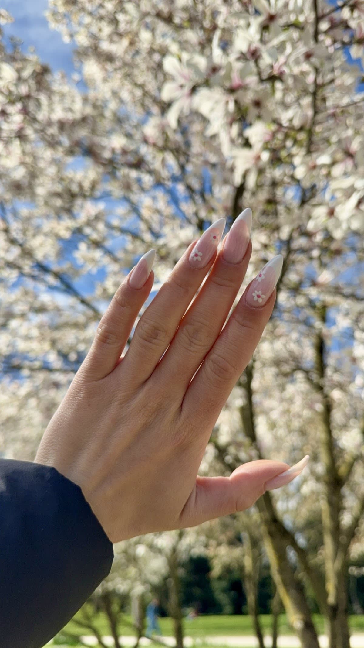 Eclipse Beauty Studio gallery image 10