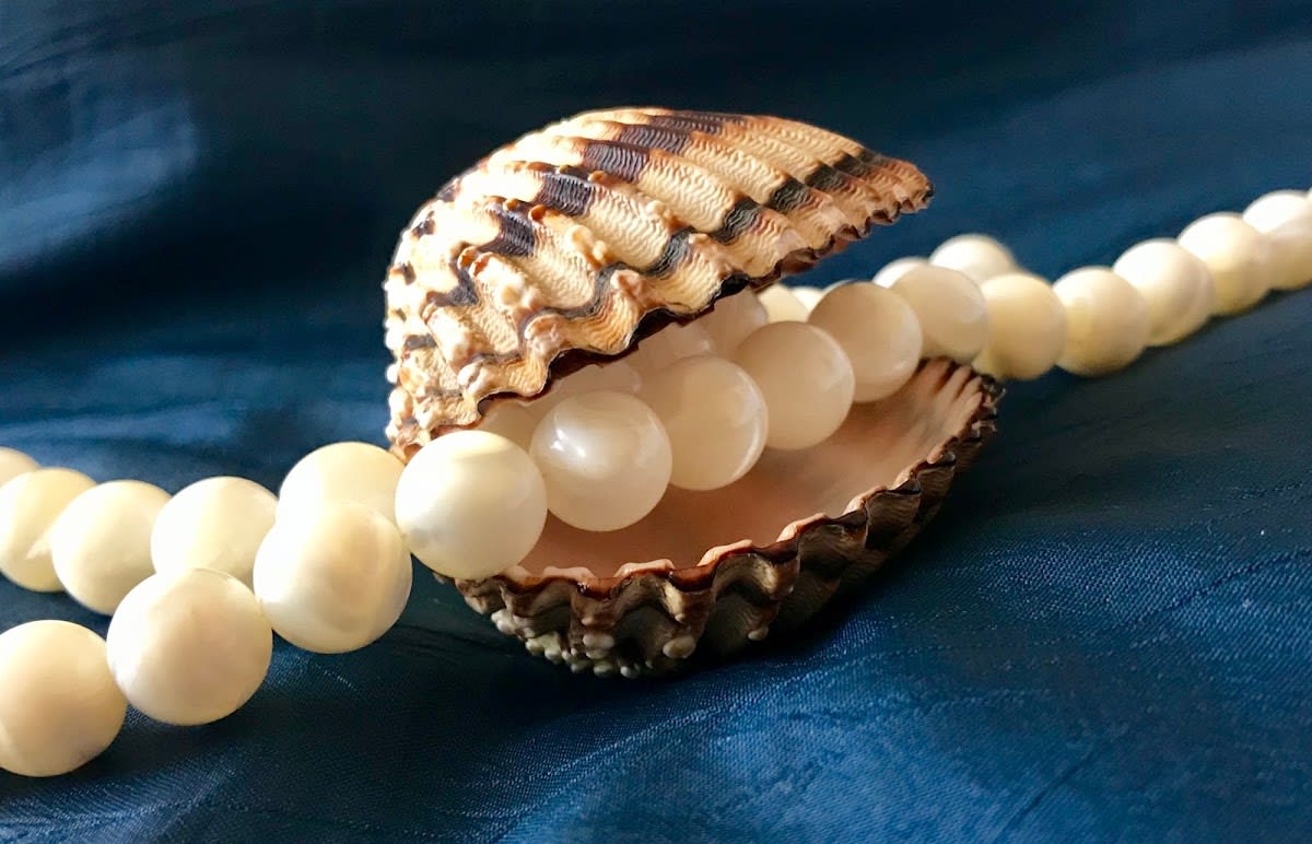 Cabinet Dentaire Dr méd. dent. Vladimir ANDONOVSKI gallery image 6