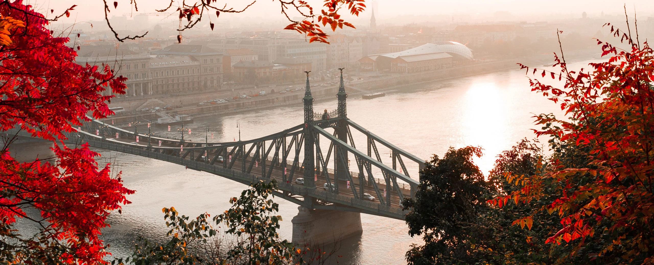 Dental Europe GmbH gallery image 1