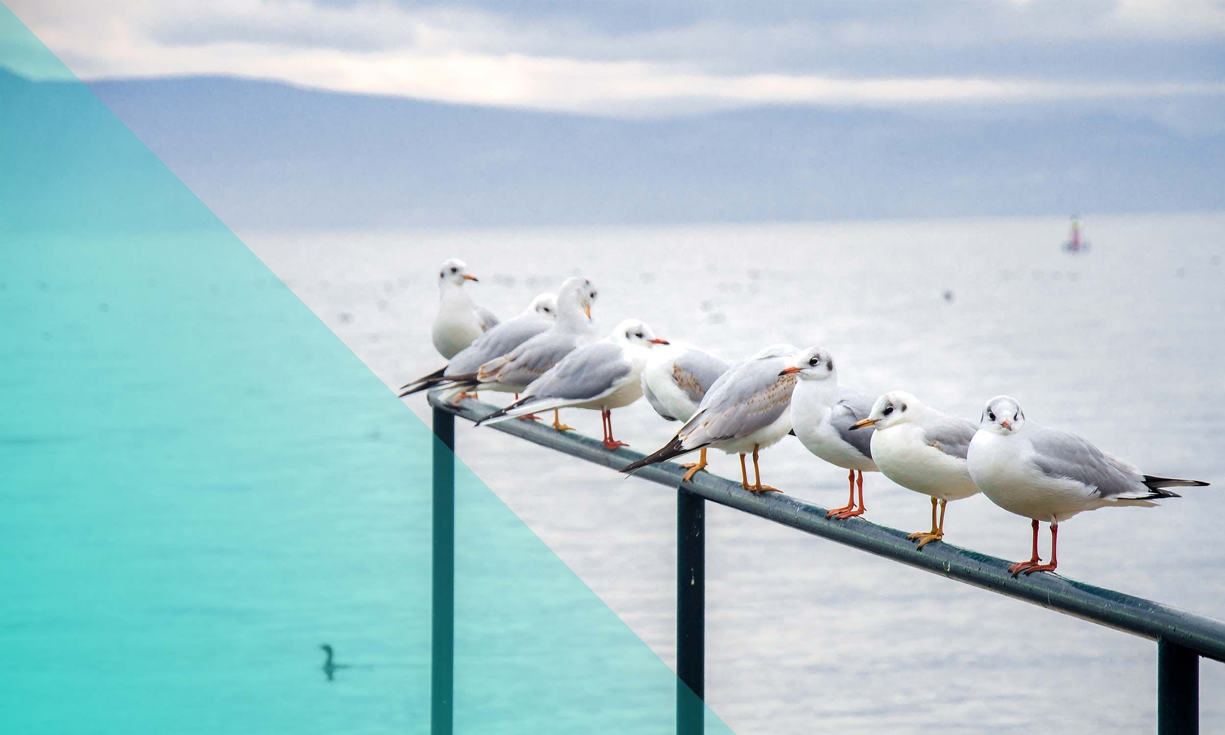 Dr. med. dent. Thomas Truninger gallery image 3