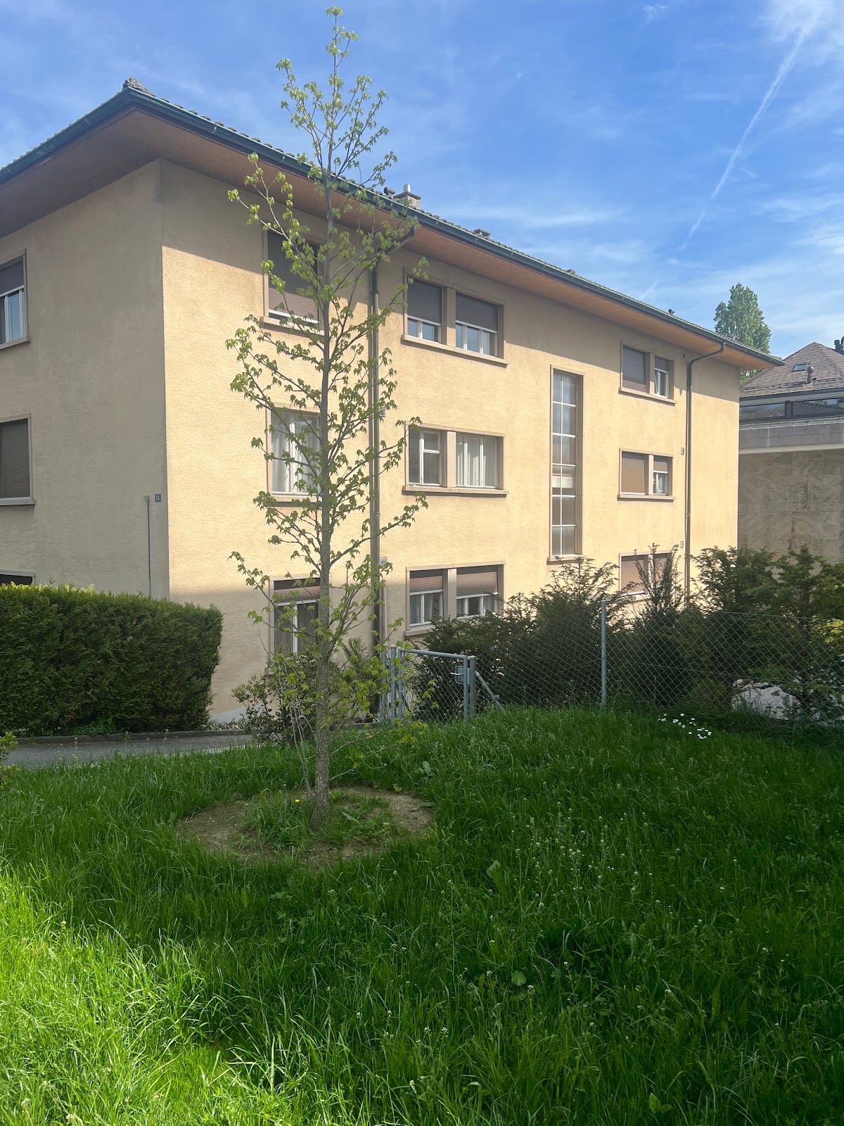 Sublime Clinic - Hair Transplant, Dental Implant Clinic gallery image 3