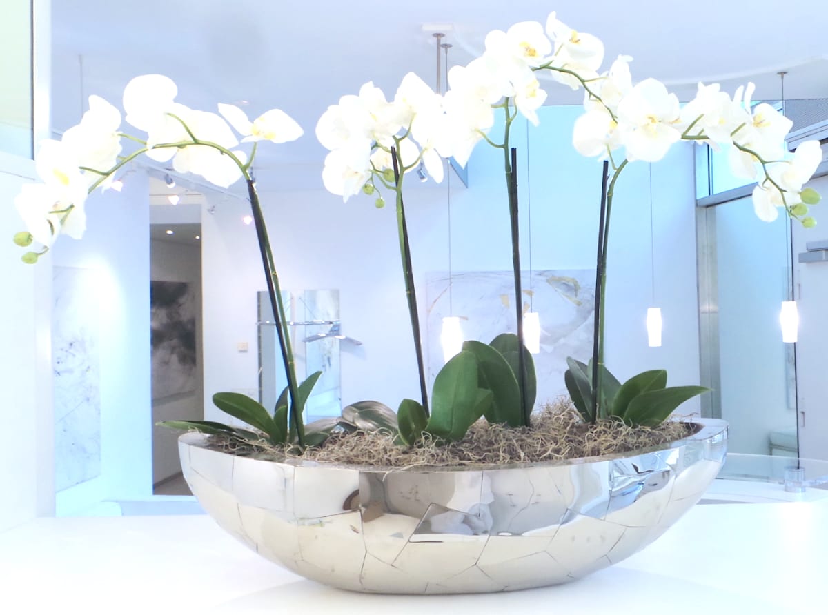 center modern liposuction. head dr. med. Roland b. schaffer gallery image 4