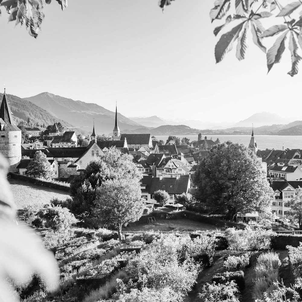 Dr. med. Thomas Biesgen | Plastische Chirurgie Zürich | Facharzt Plastische, Rekonstruktive und Ästhetische Chirurgie gallery image 7