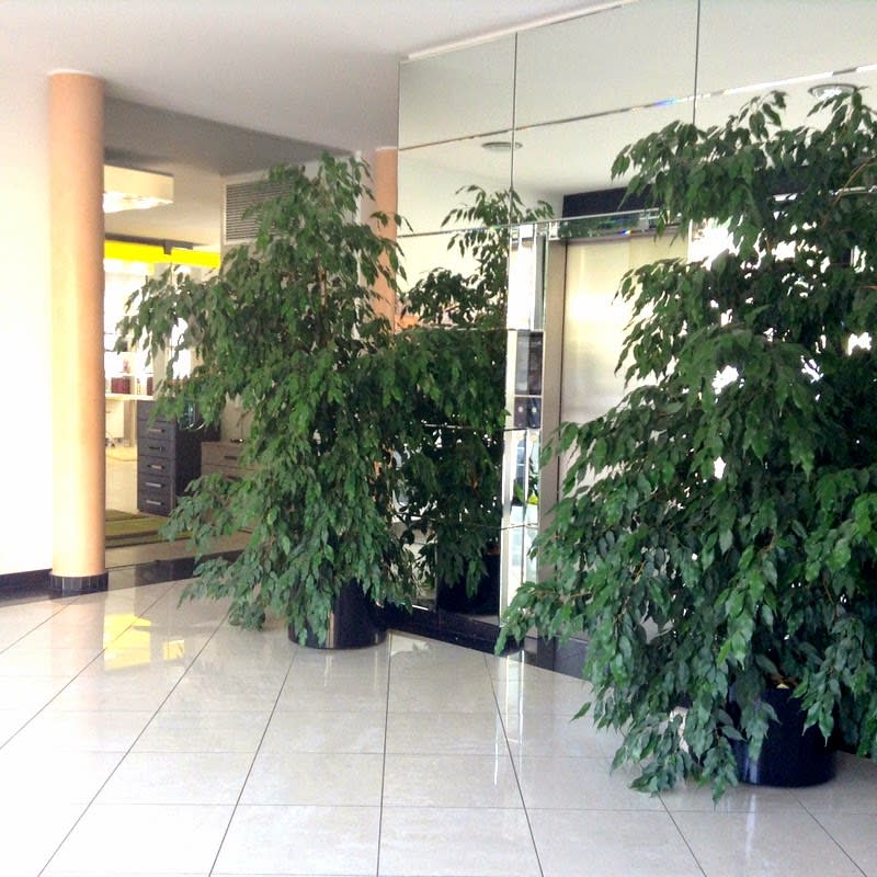 Dr.med. Vincenzo Liguori Medici internisti specialisti gallery image 9