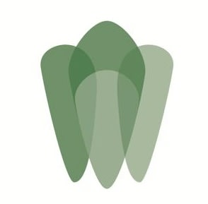 Zahnarztpraxis Adrian Goitia - Zahnschmuck - Bleaching gallery image 4