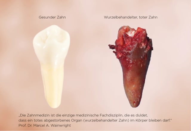 Studio Dr. Mike & Cordula Zitter- medici dentisti gallery image 3