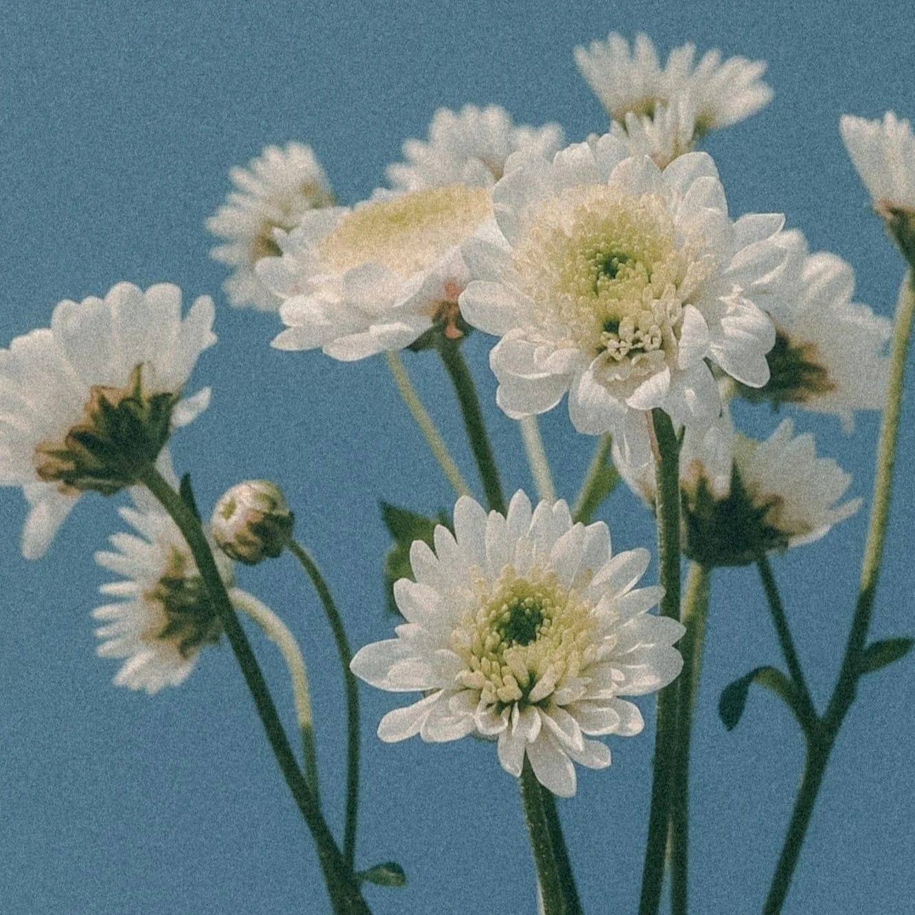 Dr. med. dent. Eric Moesner gallery image 6