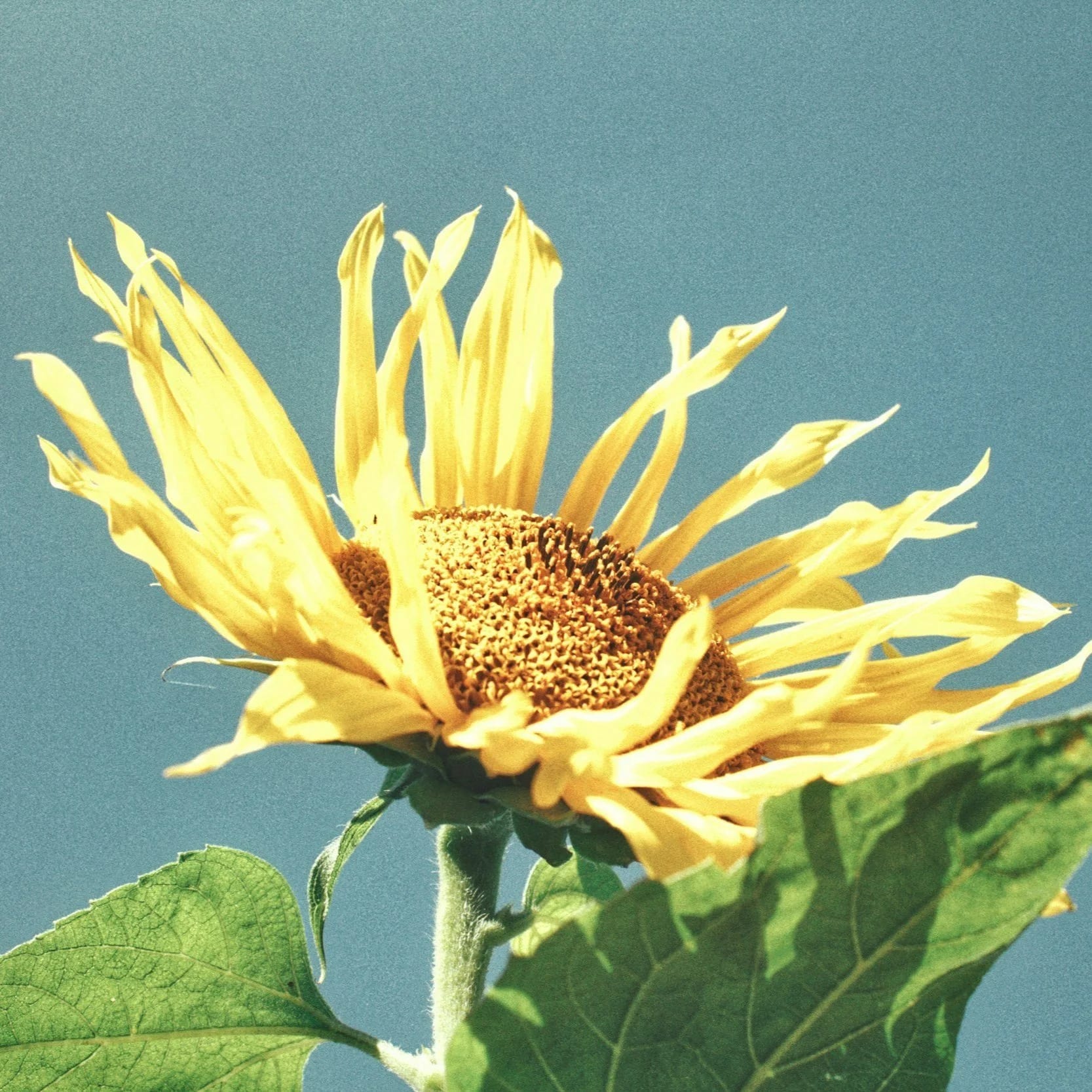 Dr. med. dent. Eric Moesner gallery image 7