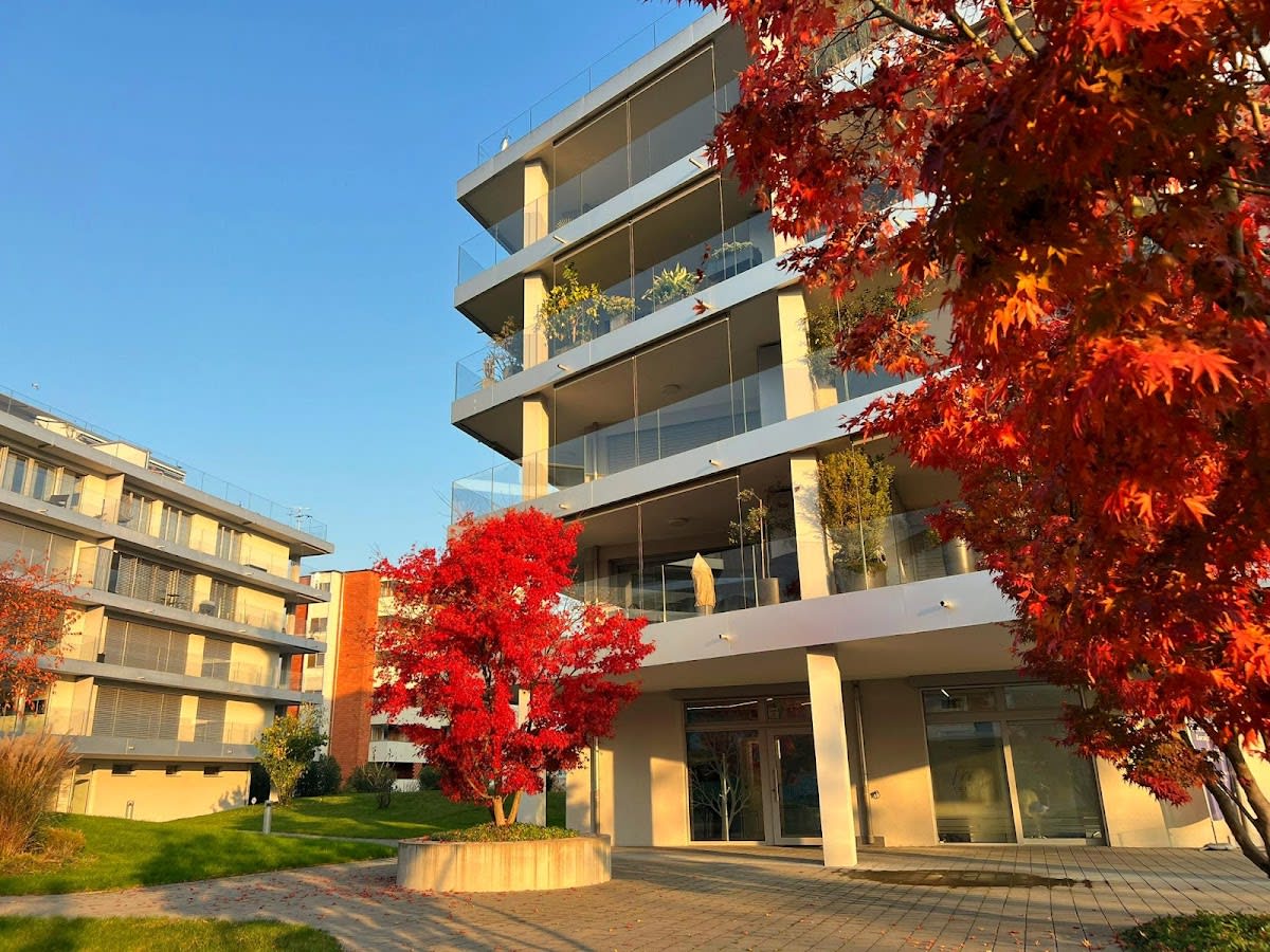 My Dental Clinic SA gallery image 2