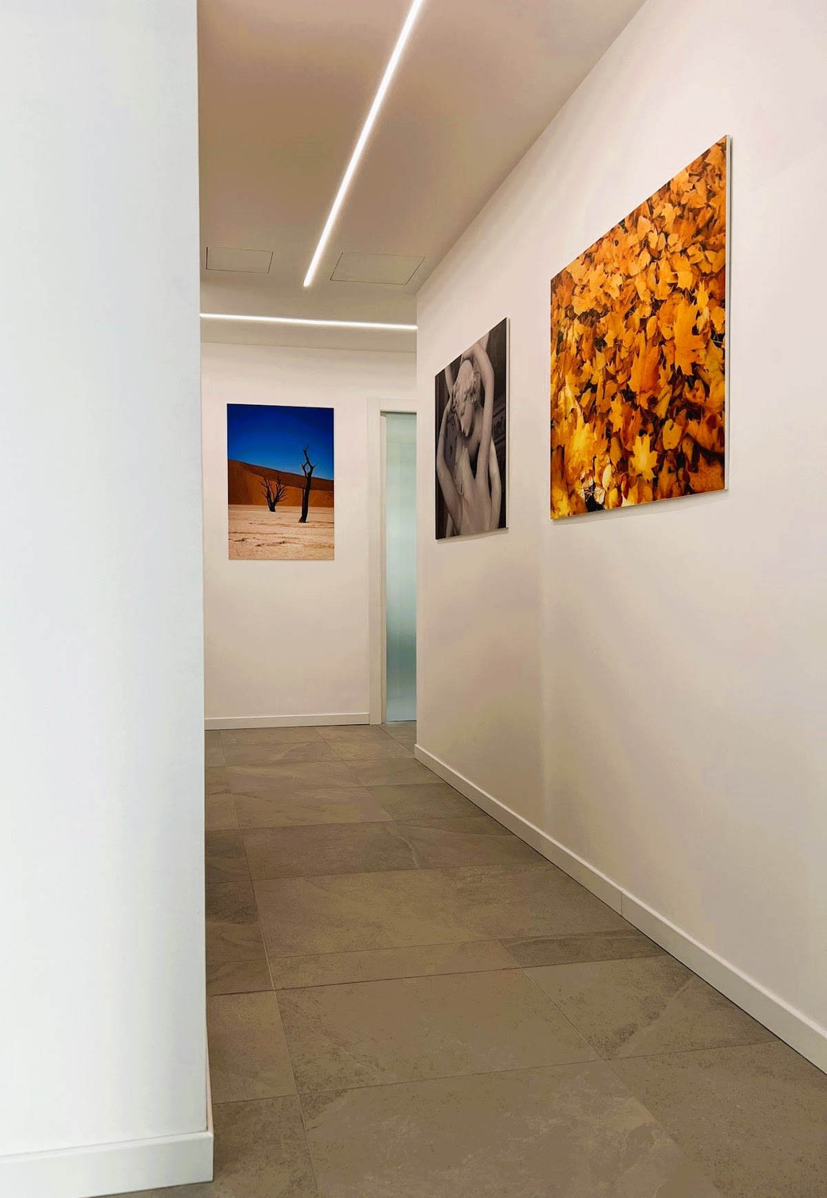 My Dental Clinic SA gallery image 8