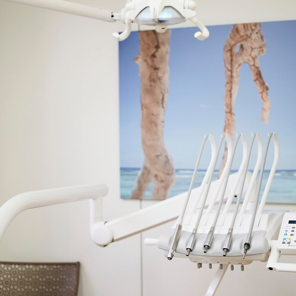 Schweizerzahn · Zahnarztpraxis Dr. med. dent. Katerina Schweizer gallery image 4