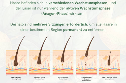 Haarfrei by Lela AG St. Gallen gallery image 2